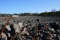 Rostoczek 11.2008 211